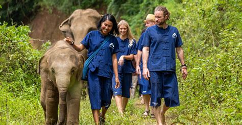 wildlife conservation volunteering abroad|paid work with animals abroad.